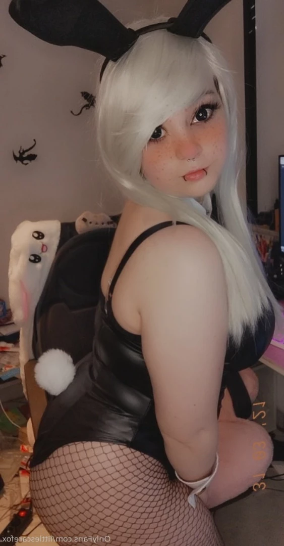 Sam [ littlescarefox ] Onlyfans leaked photo 7278508 on Hotleaks.tv