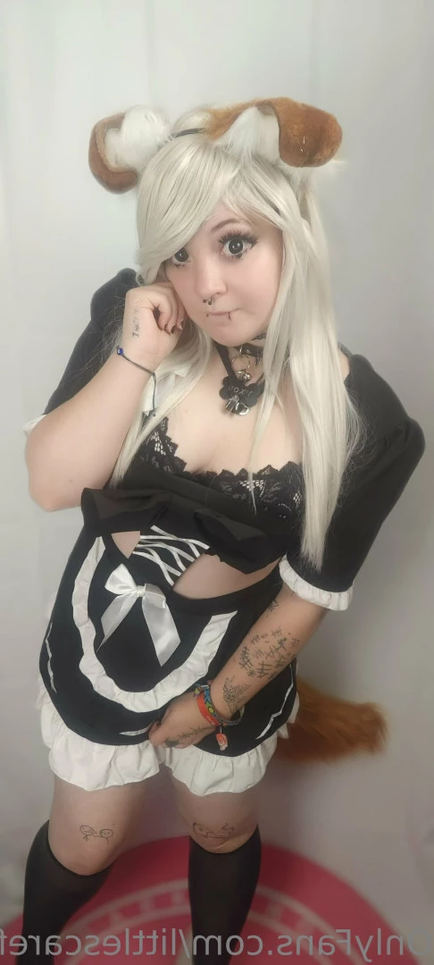 Sam [ littlescarefox ] Onlyfans leaked photo 7278522 on Hotleaks.tv