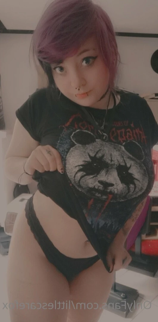 Sam [ littlescarefox ] Onlyfans leaked photo 7278900 on Hotleaks.tv