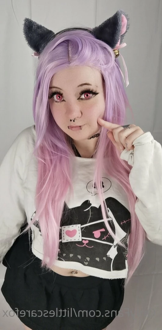 Sam [ littlescarefox ] Onlyfans leaked photo 7279007 on Hotleaks.tv