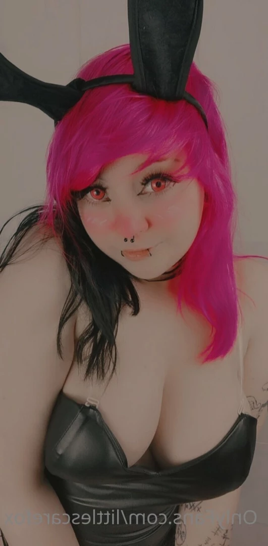Sam [ littlescarefox ] Onlyfans leaked photo 7280343 on Hotleaks.tv