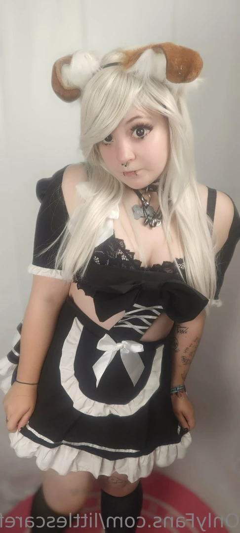 Sam [ littlescarefox ] Onlyfans leaked photo 7280515 on Hotleaks.tv