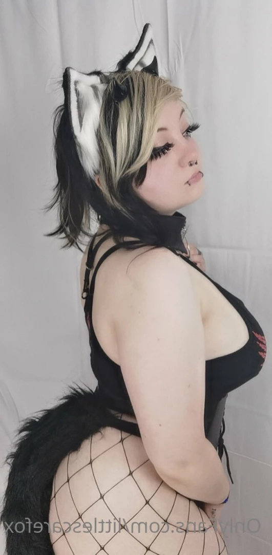 Sam [ littlescarefox ] Onlyfans leaked photo 7280801 on Hotleaks.tv