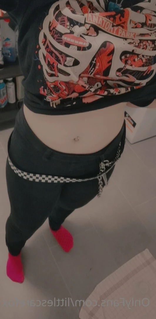 Sam [ littlescarefox ] Onlyfans leaked photo 7280977 on Hotleaks.tv