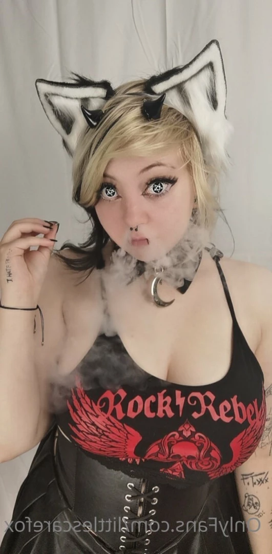 Sam [ littlescarefox ] Onlyfans leaked photo 7280998 on Hotleaks.tv