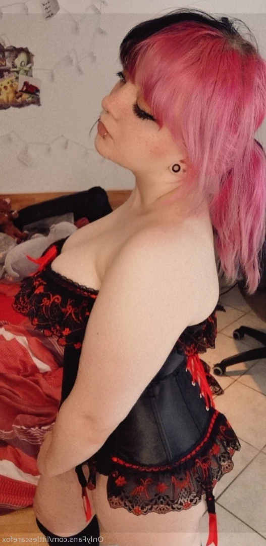 Sam [ littlescarefox ] Onlyfans leaked photo 7282070 on Hotleaks.tv