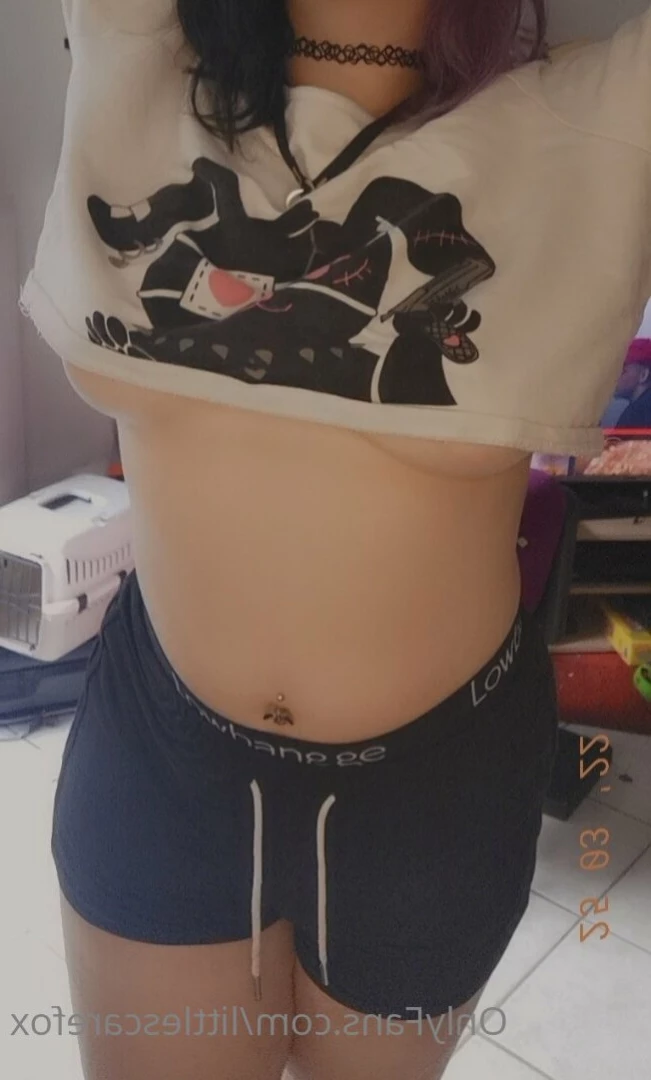 Sam [ littlescarefox ] Onlyfans leaked photo 7282358 on Hotleaks.tv