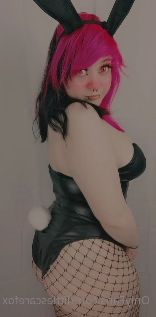 Sam [ littlescarefox ] Onlyfans leaked photo 7283720 on Hotleaks.tv
