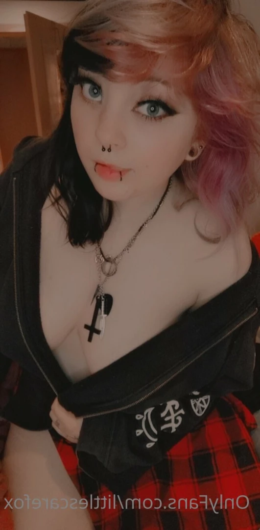 Sam [ littlescarefox ] Onlyfans leaked photo 7284064 on Hotleaks.tv
