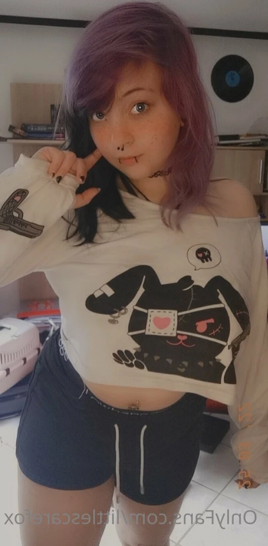 Sam [ littlescarefox ] Onlyfans leaked photo 7284644 on Hotleaks.tv