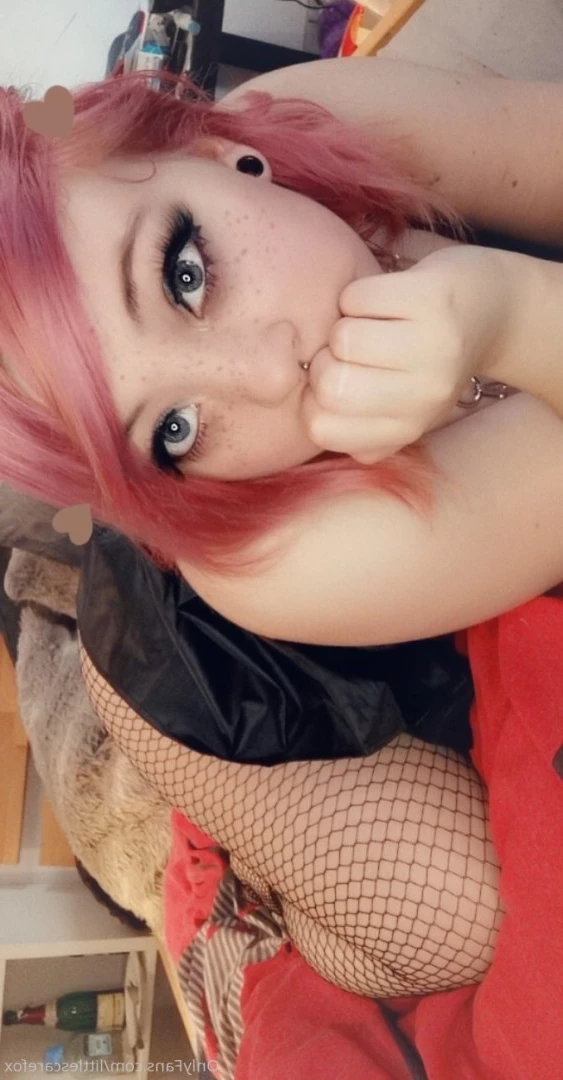 Sam [ littlescarefox ] Onlyfans leaked photo 7285018 on Hotleaks.tv