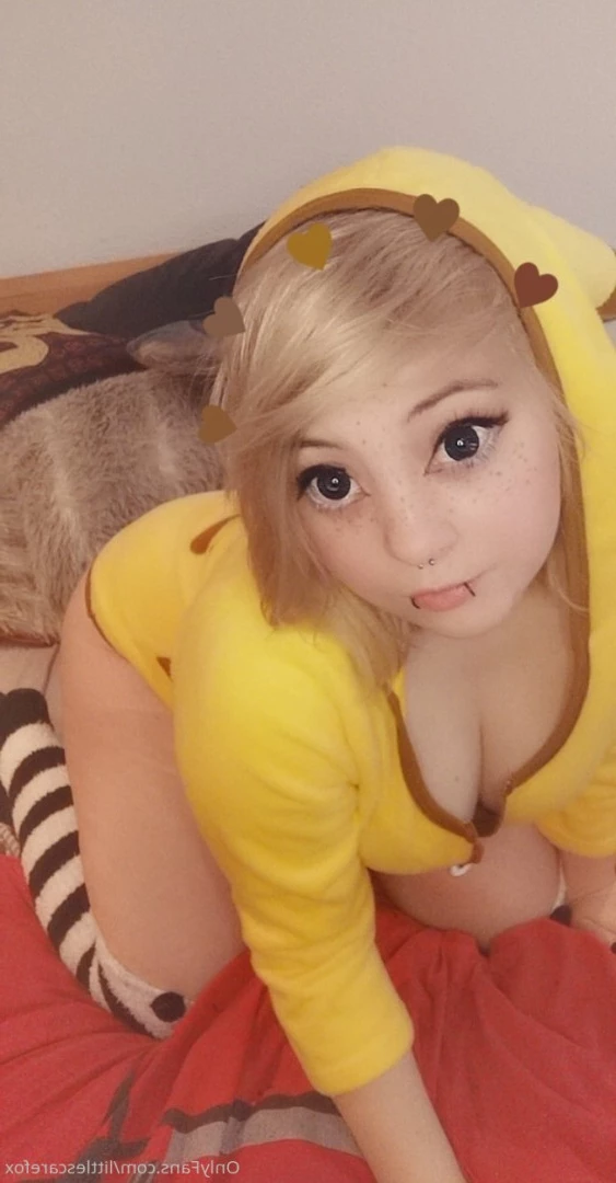 Sam [ littlescarefox ] Onlyfans leaked photo 7285341 on Hotleaks.tv