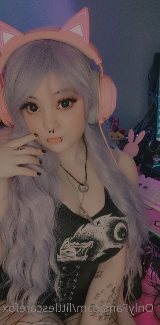 Sam [ littlescarefox ] Onlyfans leaked photo 7285453 on Hotleaks.tv