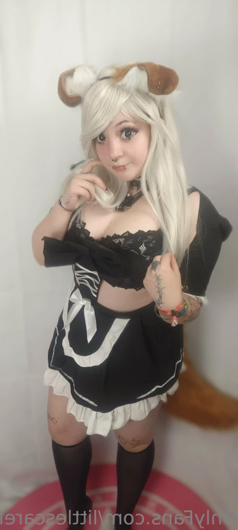 Sam [ littlescarefox ] Onlyfans leaked photo 7285835 on Hotleaks.tv
