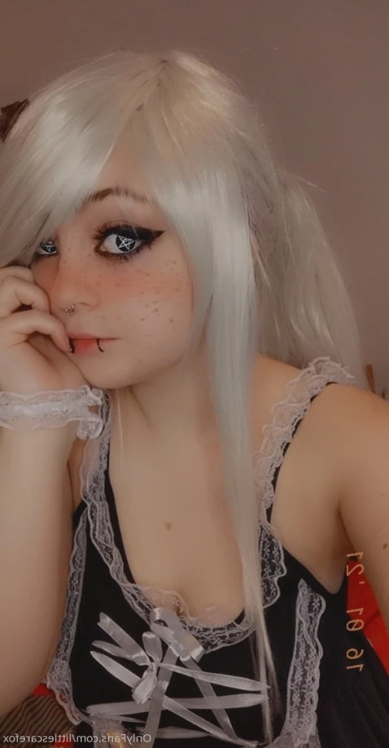 Sam [ littlescarefox ] Onlyfans leaked photo 7286468 on Hotleaks.tv