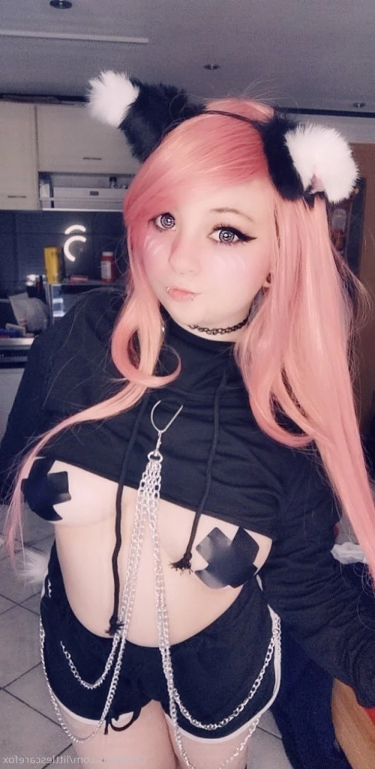 Sam [ littlescarefox ] Onlyfans leaked photo 7286710 on Hotleaks.tv