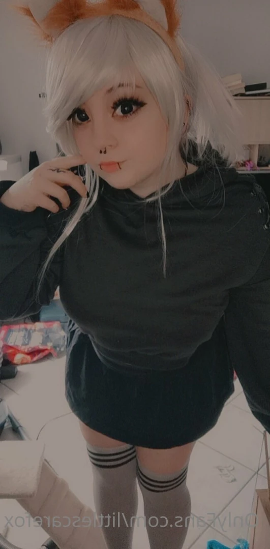 Sam [ littlescarefox ] Onlyfans leaked photo 7287642 on Hotleaks.tv