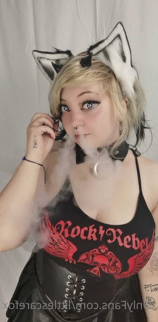 Sam [ littlescarefox ] Onlyfans leaked photo 7287830 on Hotleaks.tv
