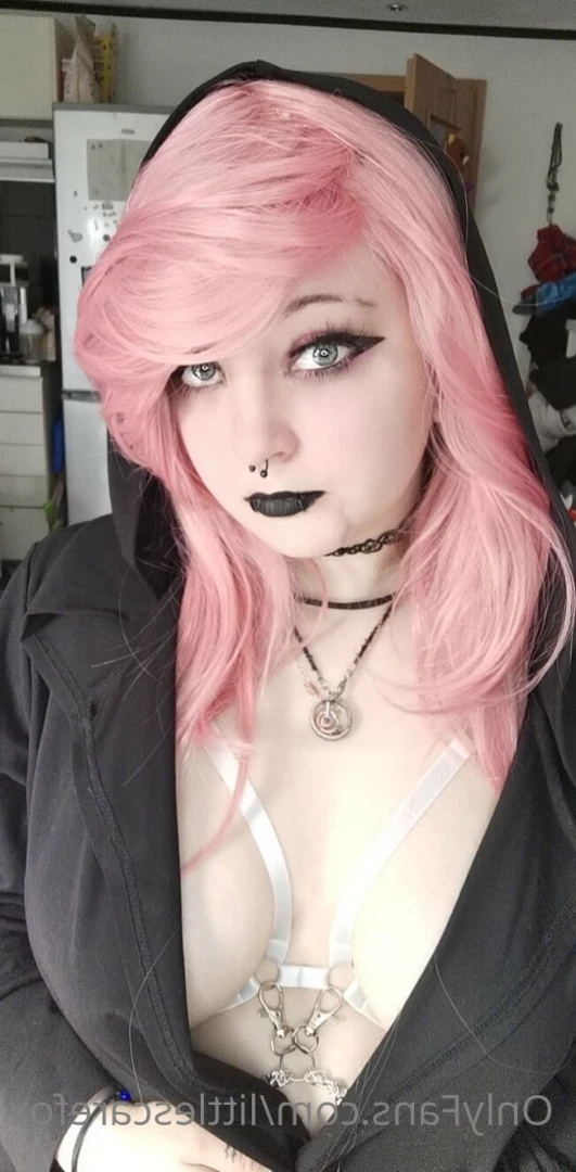 Sam [ littlescarefox ] Onlyfans leaked photo 7288073 on Hotleaks.tv
