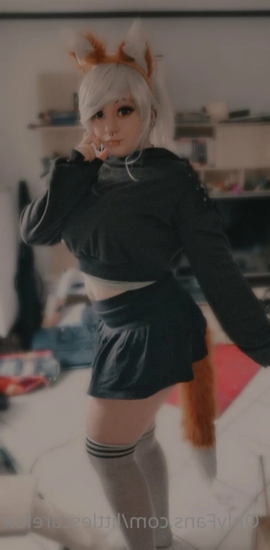 Sam [ littlescarefox ] Onlyfans leaked photo 7288330 on Hotleaks.tv