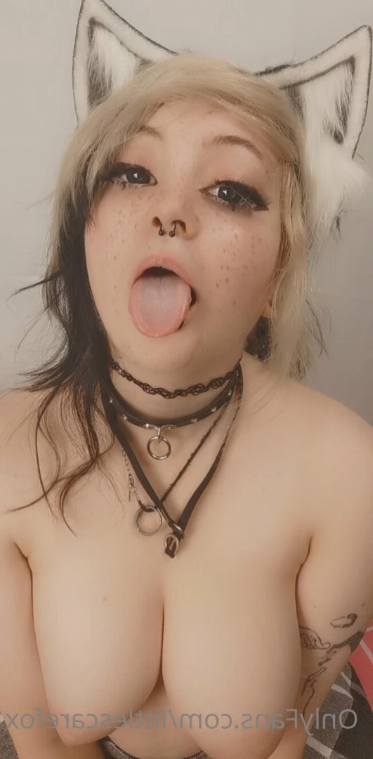 Sam [ littlescarefox ] Onlyfans leaked photo 7288546 on Hotleaks.tv