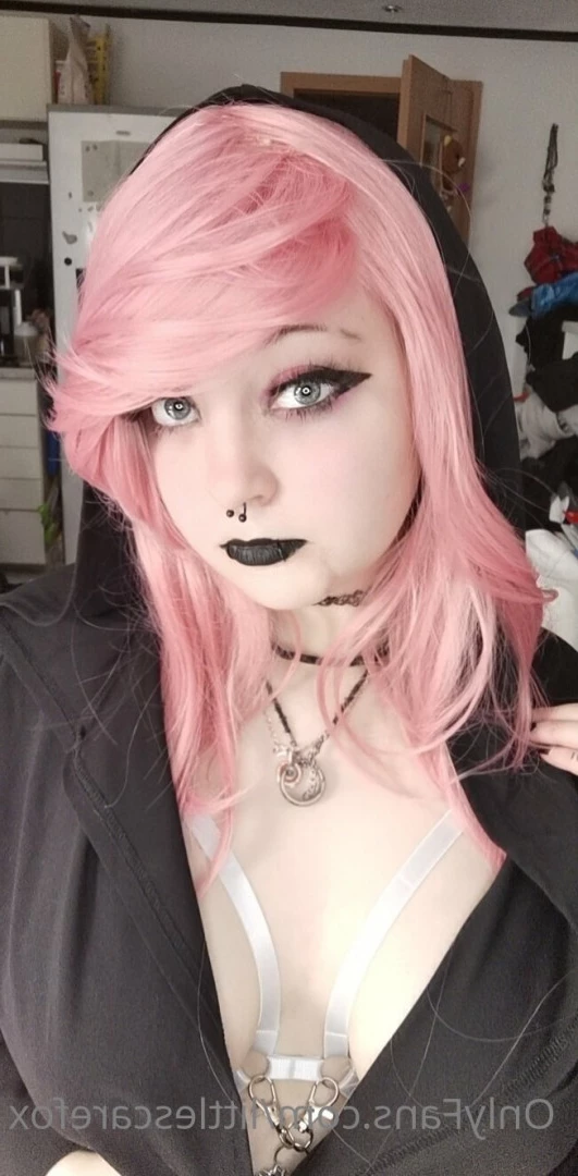 Sam [ littlescarefox ] Onlyfans leaked photo 7289573 on Hotleaks.tv