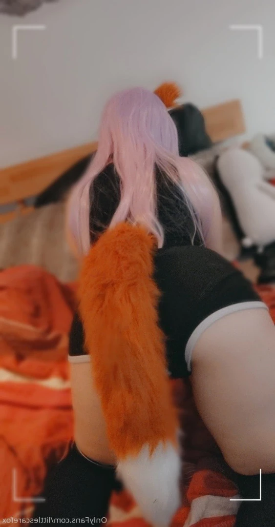 Sam [ littlescarefox ] Onlyfans leaked photo 7290503 on Hotleaks.tv
