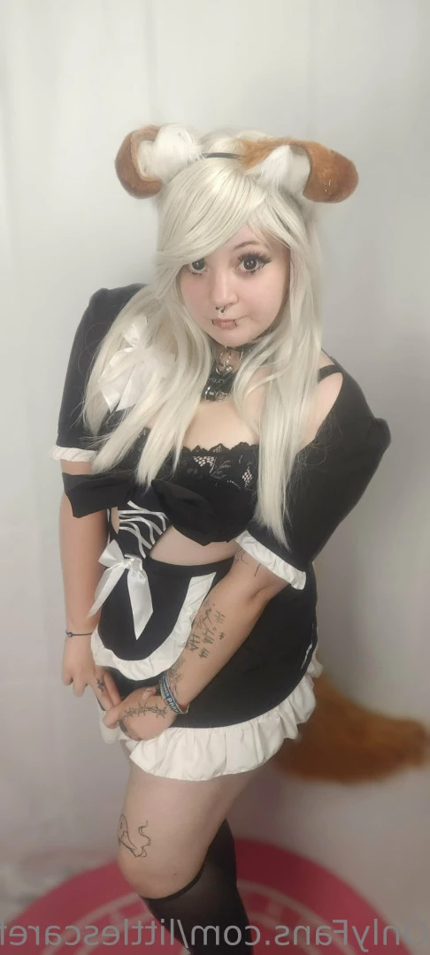Sam [ littlescarefox ] Onlyfans leaked photo 7290527 on Hotleaks.tv