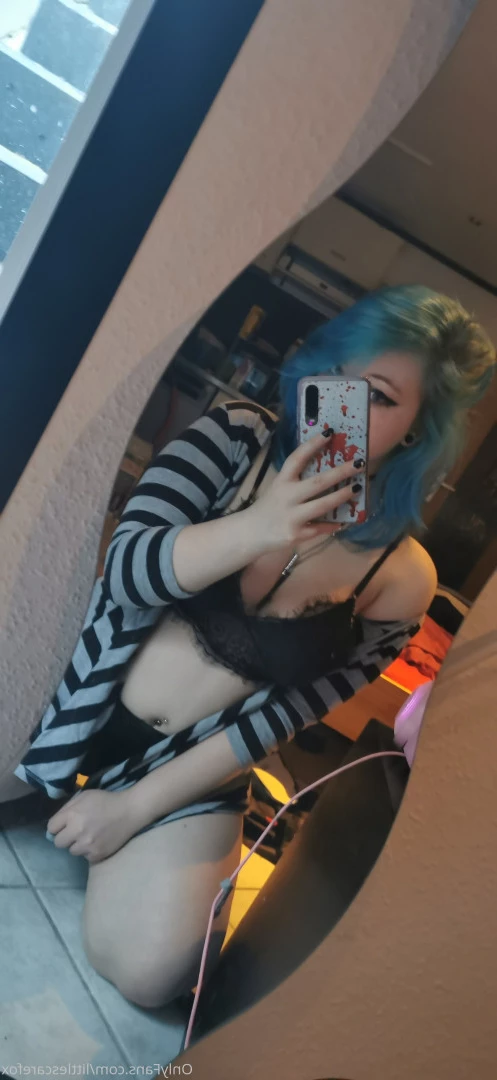 Sam [ littlescarefox ] Onlyfans leaked photo 7290551 on Hotleaks.tv