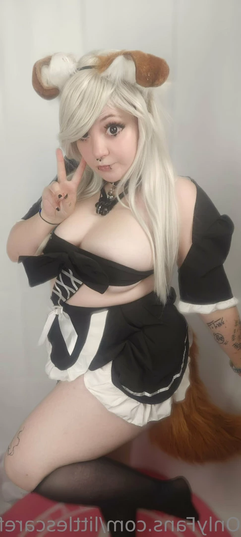 Sam [ littlescarefox ] Onlyfans leaked photo 7290747 on Hotleaks.tv