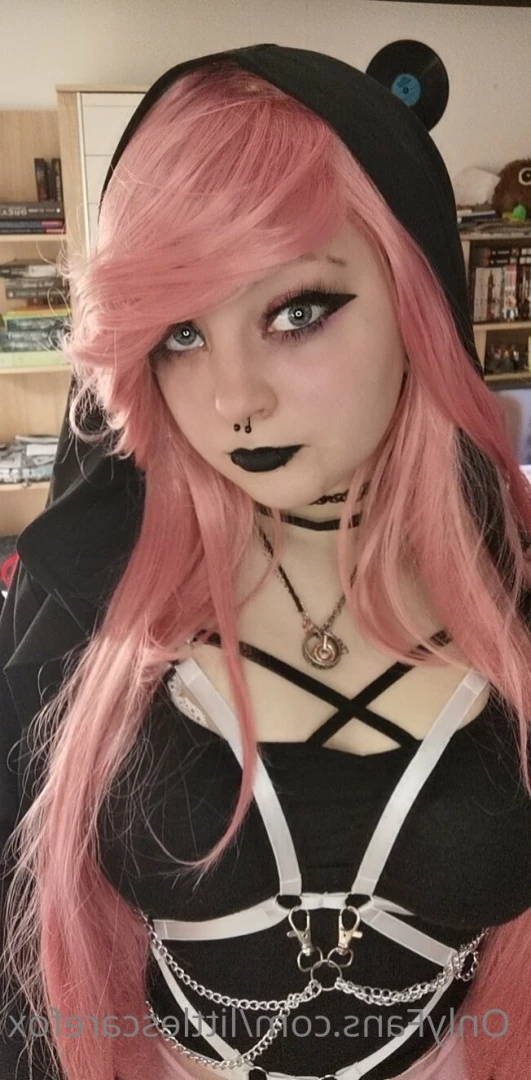 Sam [ littlescarefox ] Onlyfans leaked photo 7291215 on Hotleaks.tv