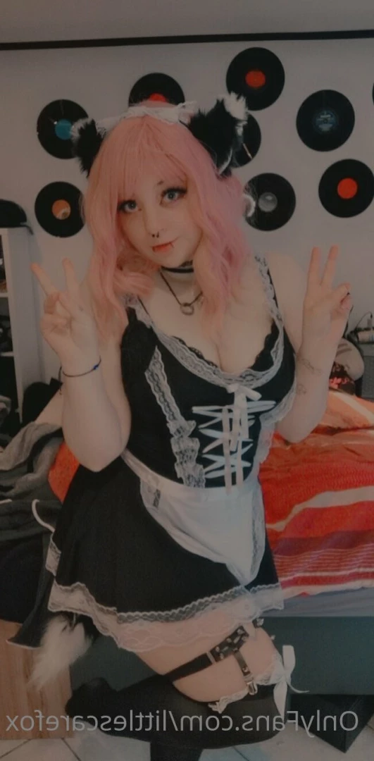 Sam [ littlescarefox ] Onlyfans leaked photo 7291636 on Hotleaks.tv