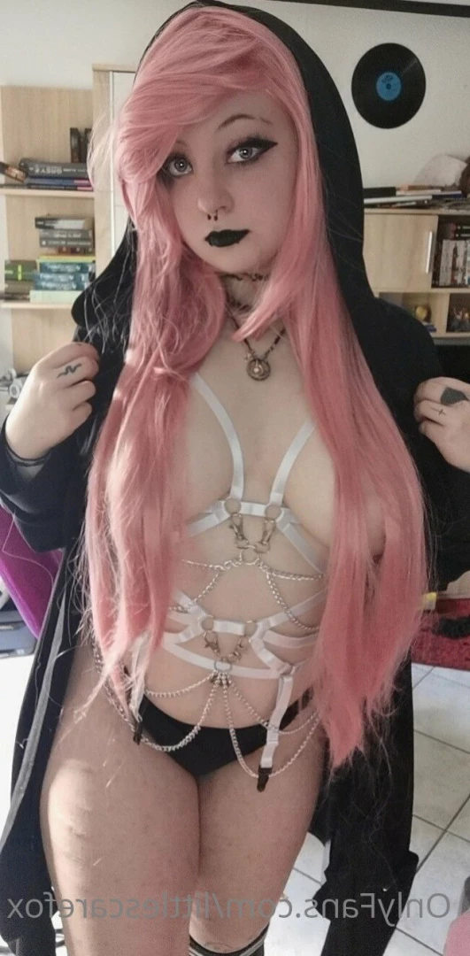 Sam [ littlescarefox ] Onlyfans leaked photo 7292079 on Hotleaks.tv
