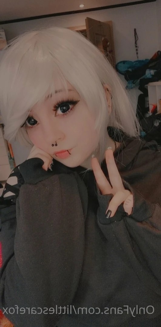 Sam [ littlescarefox ] Onlyfans leaked photo 7292088 on Hotleaks.tv