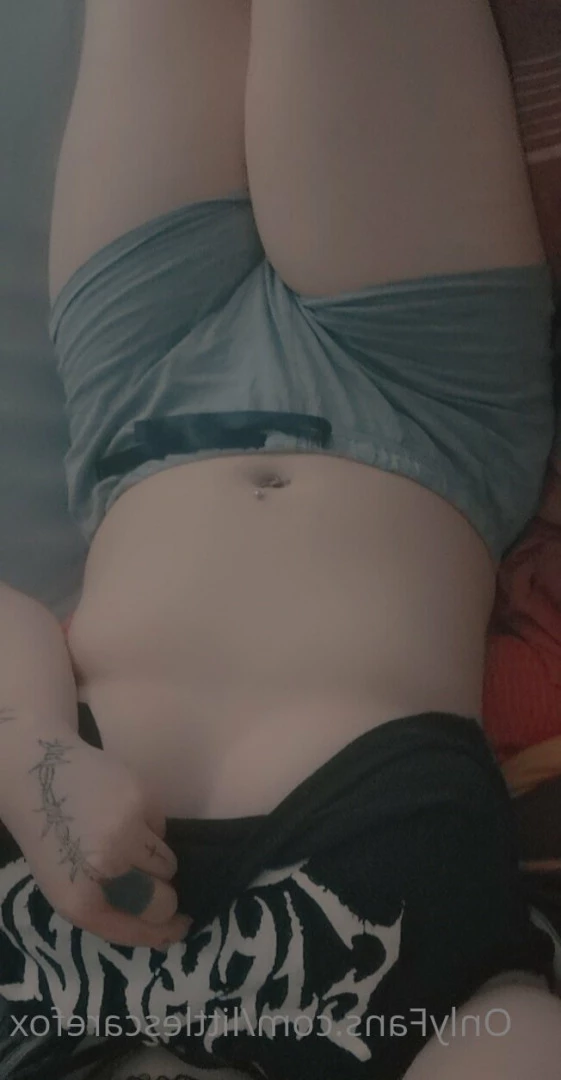 Sam [ littlescarefox ] Onlyfans leaked photo 7292817 on Hotleaks.tv