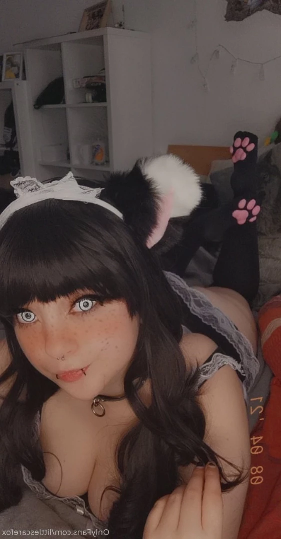 Sam [ littlescarefox ] Onlyfans leaked photo 7294204 on Hotleaks.tv