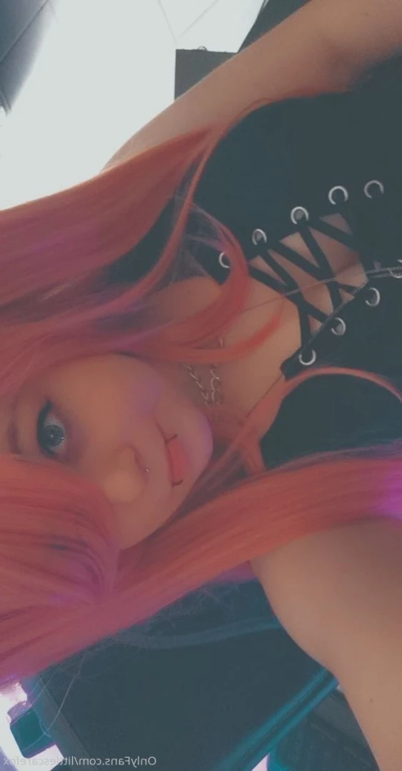Sam [ littlescarefox ] Onlyfans leaked photo 7294611 on Hotleaks.tv