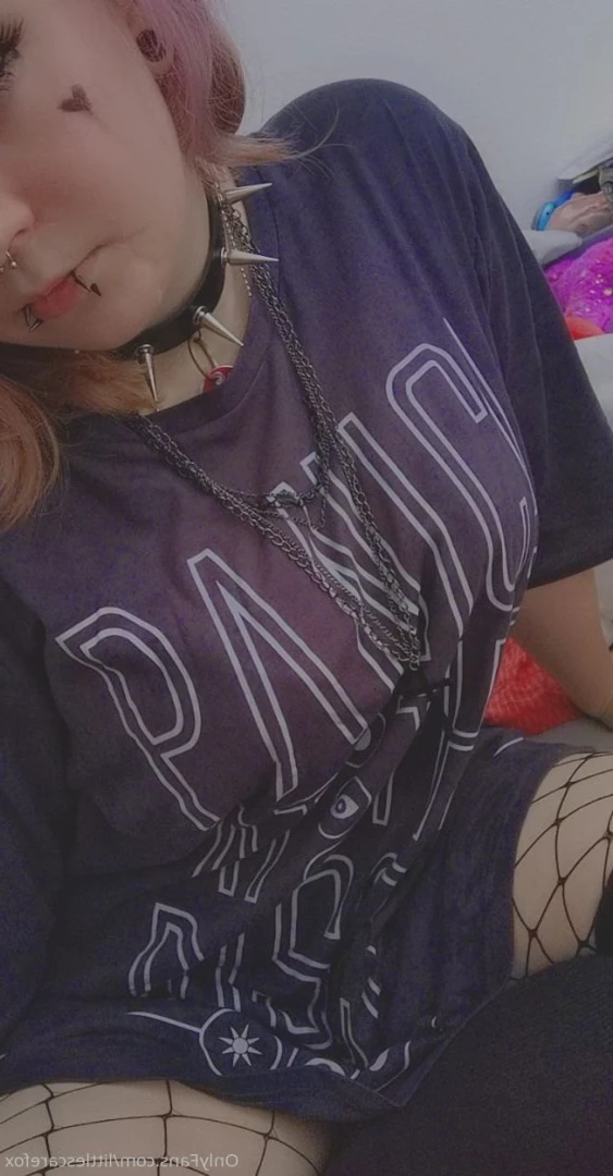Sam [ littlescarefox ] Onlyfans leaked photo 7294953 on Hotleaks.tv