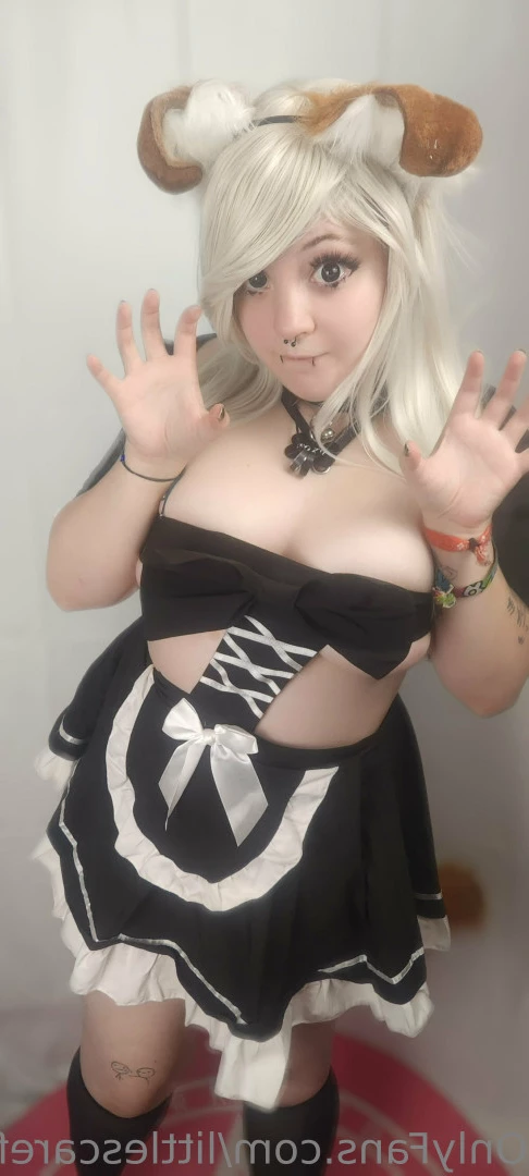 Sam [ littlescarefox ] Onlyfans leaked photo 7295248 on Hotleaks.tv