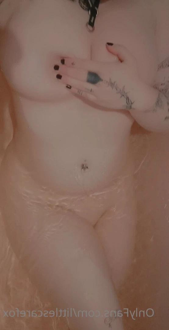 Sam [ littlescarefox ] Onlyfans leaked photo 7295483 on Hotleaks.tv
