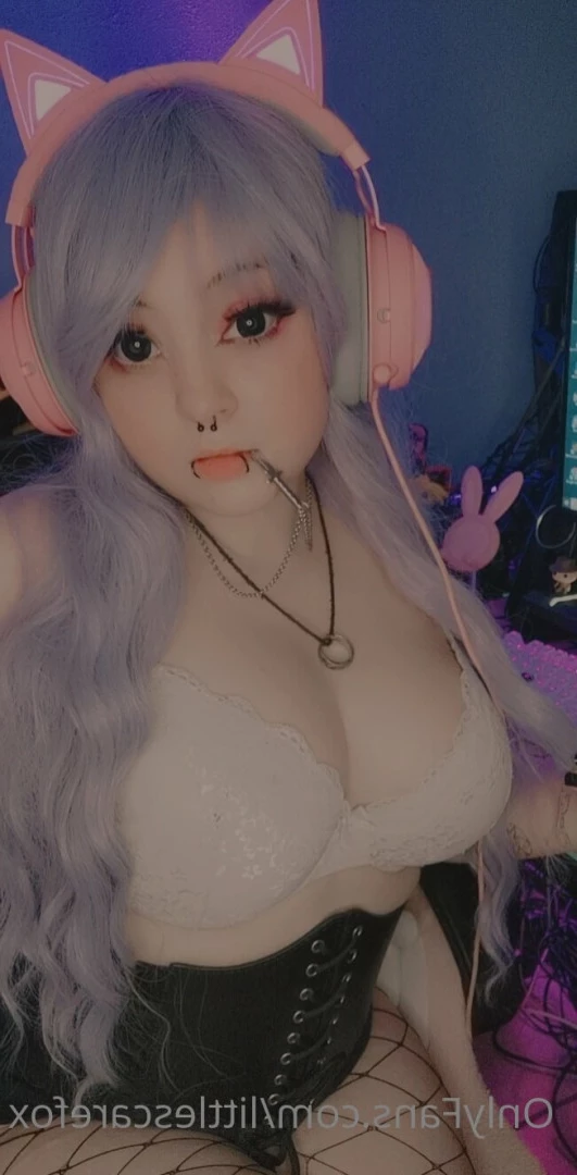 Sam [ littlescarefox ] Onlyfans leaked photo 7295533 on Hotleaks.tv