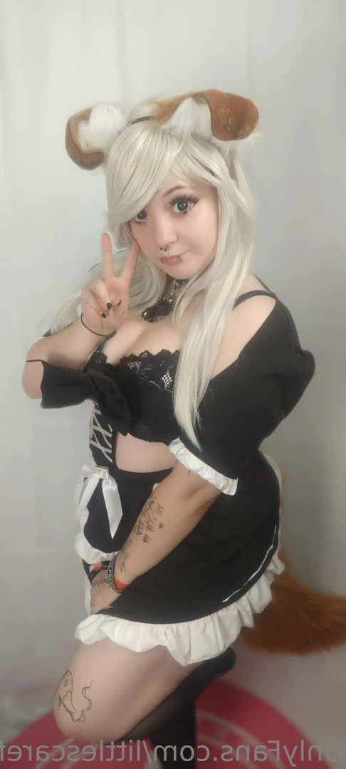 Sam [ littlescarefox ] Onlyfans leaked photo 7295797 on Hotleaks.tv