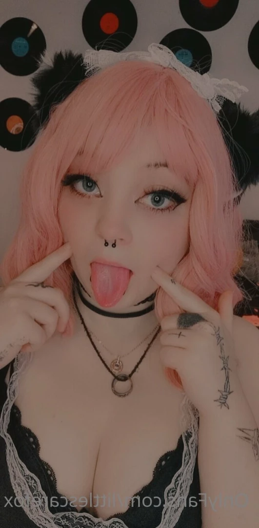 Sam [ littlescarefox ] Onlyfans leaked photo 7296089 on Hotleaks.tv