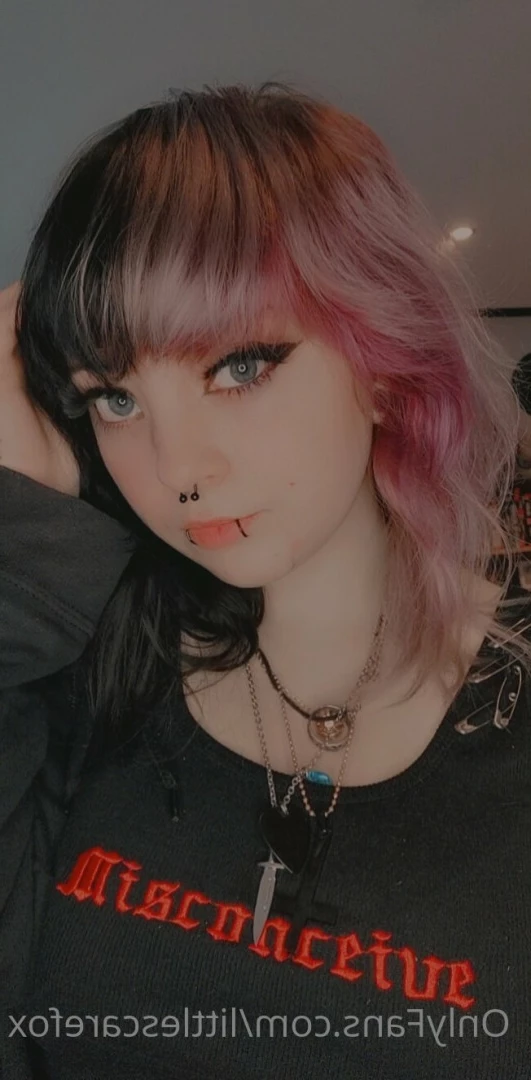 Sam [ littlescarefox ] Onlyfans leaked photo 7296448 on Hotleaks.tv