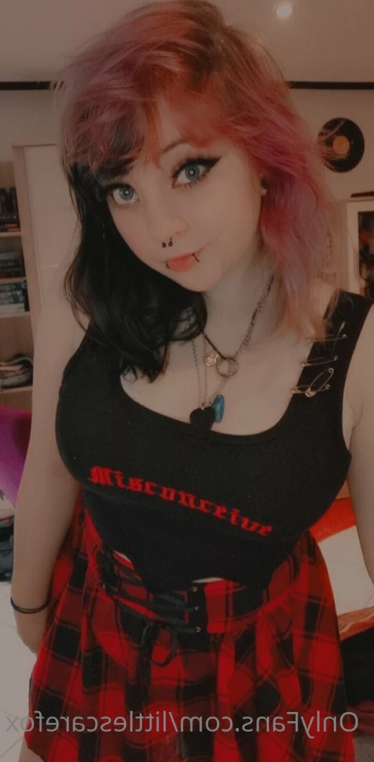 Sam [ littlescarefox ] Onlyfans leaked photo 7297314 on Hotleaks.tv