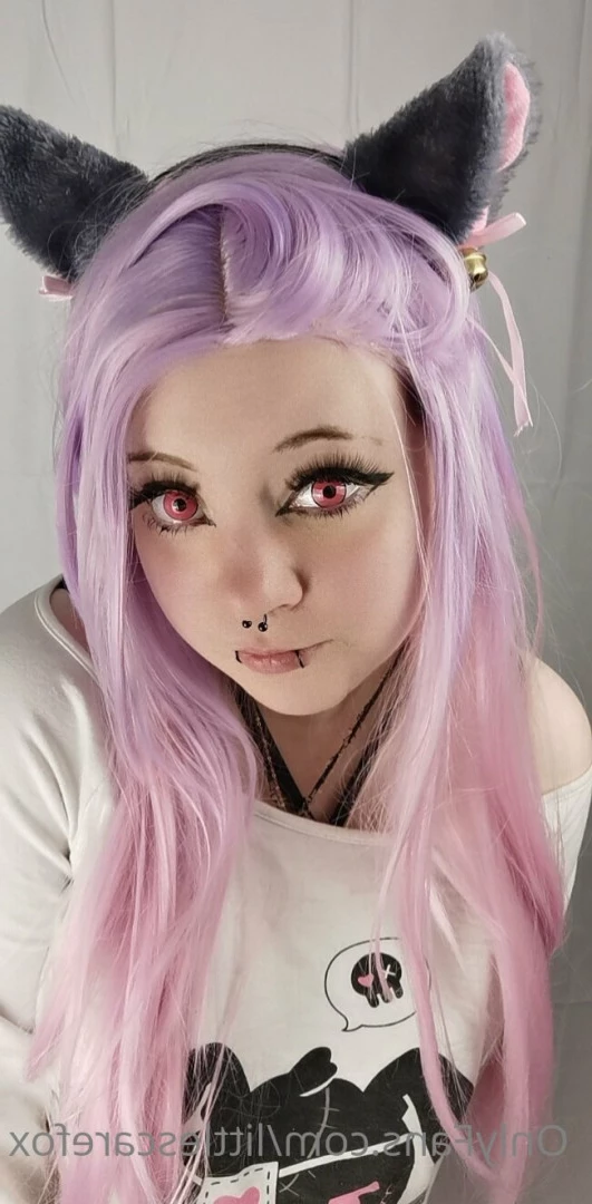 Sam [ littlescarefox ] Onlyfans leaked photo 7297585 on Hotleaks.tv