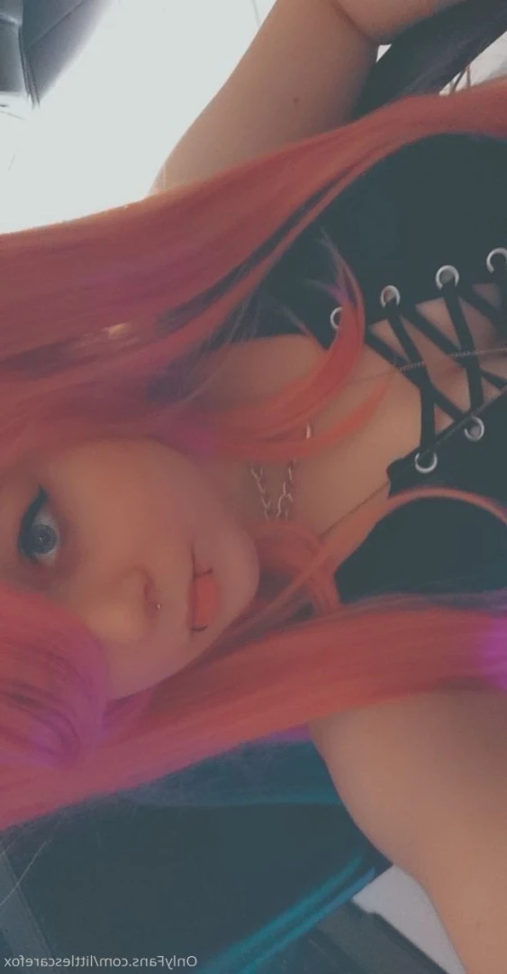 Sam [ littlescarefox ] Onlyfans leaked photo 7297626 on Hotleaks.tv