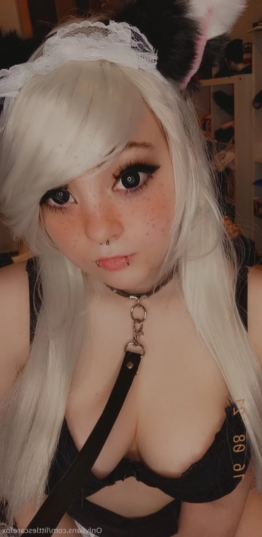 Sam [ littlescarefox ] Onlyfans leaked photo 7297989 on Hotleaks.tv