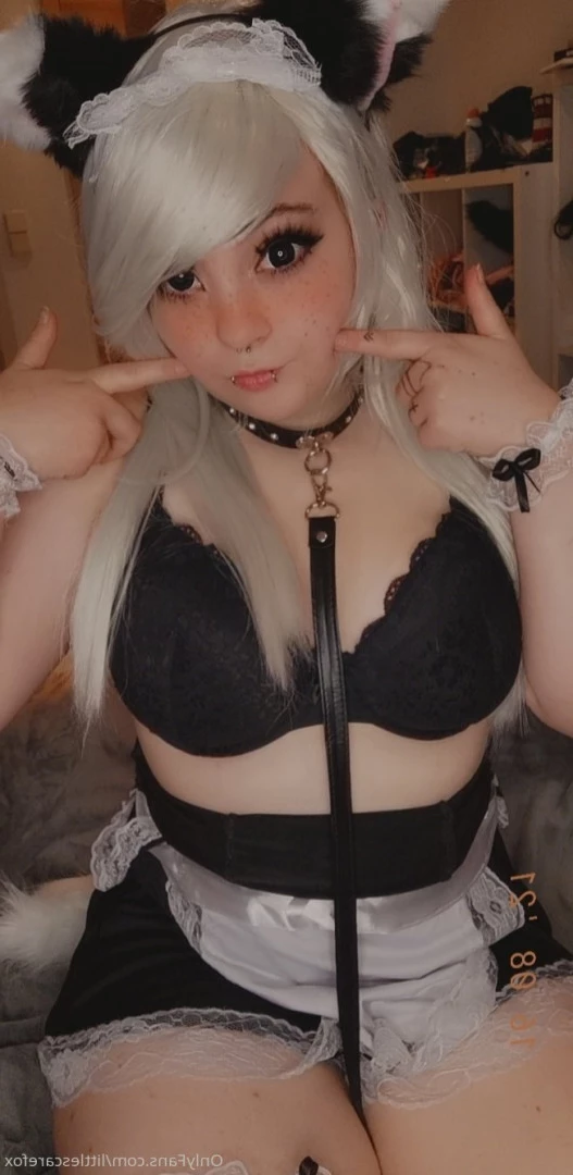 Sam [ littlescarefox ] Onlyfans leaked photo 7298015 on Hotleaks.tv