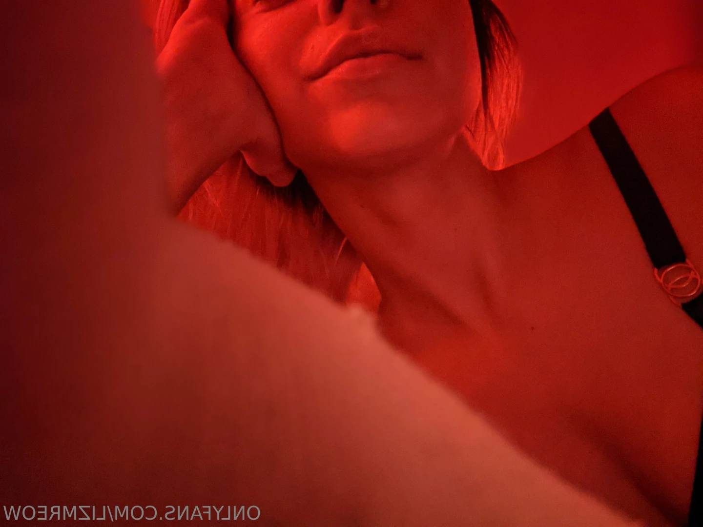 Liz [ lizmreow ] Onlyfans leaked photo 10614477 on Hotleaks.tv